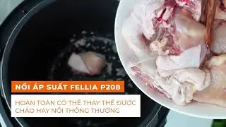Hướng dẫn sử dụng Nồi &Aacute;p Suất Điện Đa Năng Fellia P208