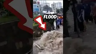 Hope in the Flood 🌧️