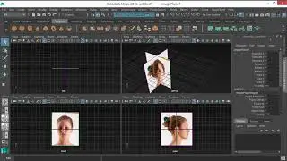 Importing reference Image Tutorial