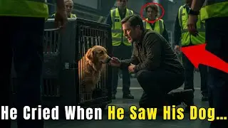 I Saved a Dog From Cargo Hold&mdash;Owner Gave Me Keys to His Beach Resort!