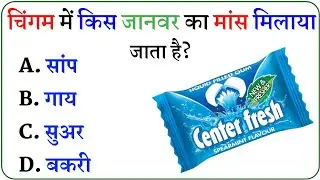 Gk Questions || Gk In Hindi || Gk ke sawal || General Knowledge || Gk Questions And Answers In Hindi