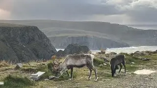 Autocamper tur i Sverige, Norge og Finland. Efter&aring;ret 2023.