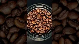 High Velocity Espresso Roast &mdash; inspired by the high drive dogs we love to watch work. ☕️