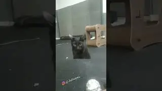 A paci&ecirc;ncia do J&uacute;lio &eacute; incr&iacute;vel kkkkkk (TBT) | J&uacute;lio e Eu