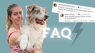 I ANSWER ALL YOUR QUESTIONS! (Why did I stop dog dancing? A 3rd dog!?)