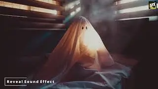 Reveal Sound Effect HD (Best Reveal Sound Fx Quality)