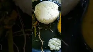 today lunch simple thali #assamese recipe#cooking #youtubevlog  video to val lagile subscrib Karibo👍