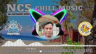 Chill Music No Copyright Free To Use  Boyet Tube