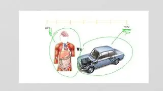 Soft vs Hard Systems