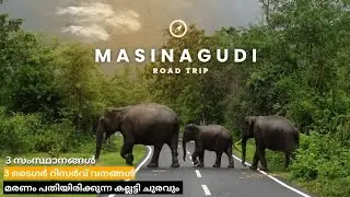 മസിനഗുഡി വഴി ഊട്ടിയിലേക്ക് ||muthanga||Bandipur||Muthumalai||masinagudi