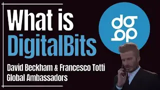 WHAT IS DIGITALBITS? XDB