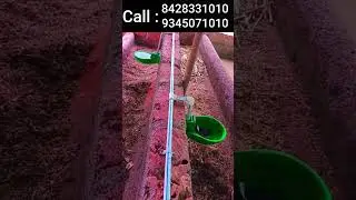 Cow Drinking bowl Valuable price