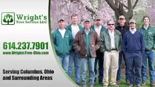 Wright's Tree Service LLC Video | Tree Services in Columbus