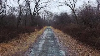 Chicago Forest Preserve Trail | 4K Winter Rain Walk 
