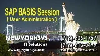 SAP BASIS &mdash; Администрирование пользователей &mdash; Онлайн-обучение &mdash; Newyorksys