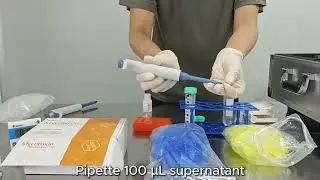 Bioeasy Rapid Test suitcase Lab for Mycotoxin