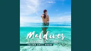 Paradise Lounge