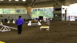 Enzo AKC Standard Feb 5,  2011