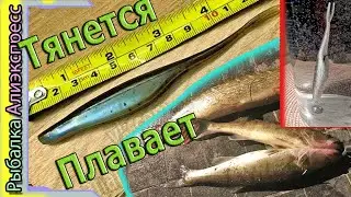 Копия - Z-man Elaztech Scented Jerk Shadz - Плавающий силикон ловит на Дроп-Шот (Щука/Судак) с Али