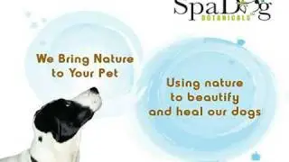 Best Wholesale Natural Dog Grooming Products, Natural Remedies