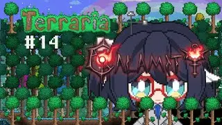 【Terraria Calamity】early HM boss prep【First Solo Run】(Pt.14)