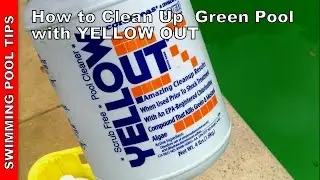 How to Clean a Green Pool Updated Version - Using YELLOW OUT
