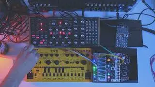 0x1606 midsommar acid party | subharmonicon + td-3 mo + po-32 | live jam