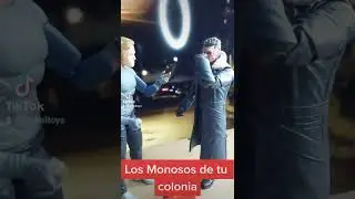 Los Monosos de tu colonia