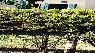 THIKA TECHNICAL TRAINING INSTITUTE CHILL SPOT!