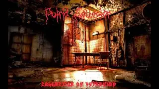 Putrid Collector - Collection Of Putrefied (RUSSIAN DEATH METAL 2020)