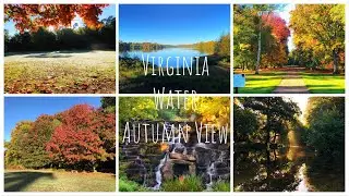 Virginia Water | London Autumn season | best places in UK