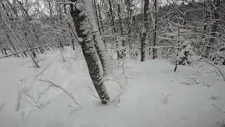 MLK Laps - Mustache Woods T2B - Smugglers Notch (2026)