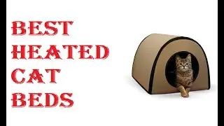 Best Heated Cat Beds 2021