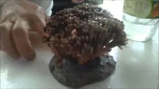 the  using of  60 second speed cement to make frags