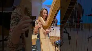 New Harp Day