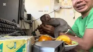 Mary eat chicken egg #animals #monkey #mary #asmr