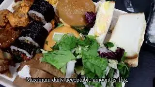 Reencle Food Recycler 24 hours food composting experiment