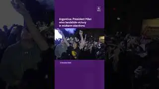 Argentina: President Milei wins landslide victory in midterm elections