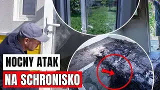 Dramatyczna noc w schronisku ADA: Brutalna dewastacja i apel o pomoc!