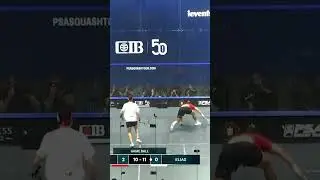 Taking game ball in style 🤩 #squash #psasquashtour #sport #squashtv #egyptianopen #egypt #peru