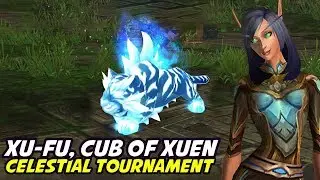 Xu-Fu, Cub of Xuen - Celestial Tournament (2 strategies)