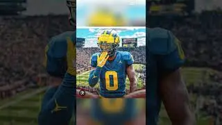 NFL profile picture you need (Mike Sainristil edition)