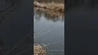 Good to be, a part of wildlife!#fishing #inspiration #birds #nature #wildlife #catchandrelease