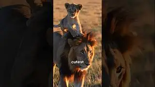 Cutest Baby Animals From The Scariest Creatures😲