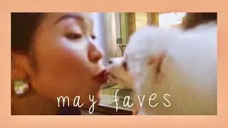 Cuộc sống mình dạo này thế nào + Son nude yêu thích | MAY VLOG + FAVES | Letsplaymakeup