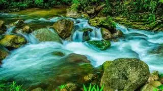 Water Flowing royalty background videos loops green screen