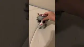 WTGW