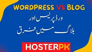 Hosterpk | What is WordPress And Difference Between Blog And Website
