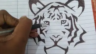How to draw Tribal Tiger