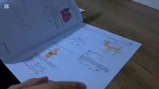 AYT-TYT denememin sonuçları ve Ayt için bazı kurallar